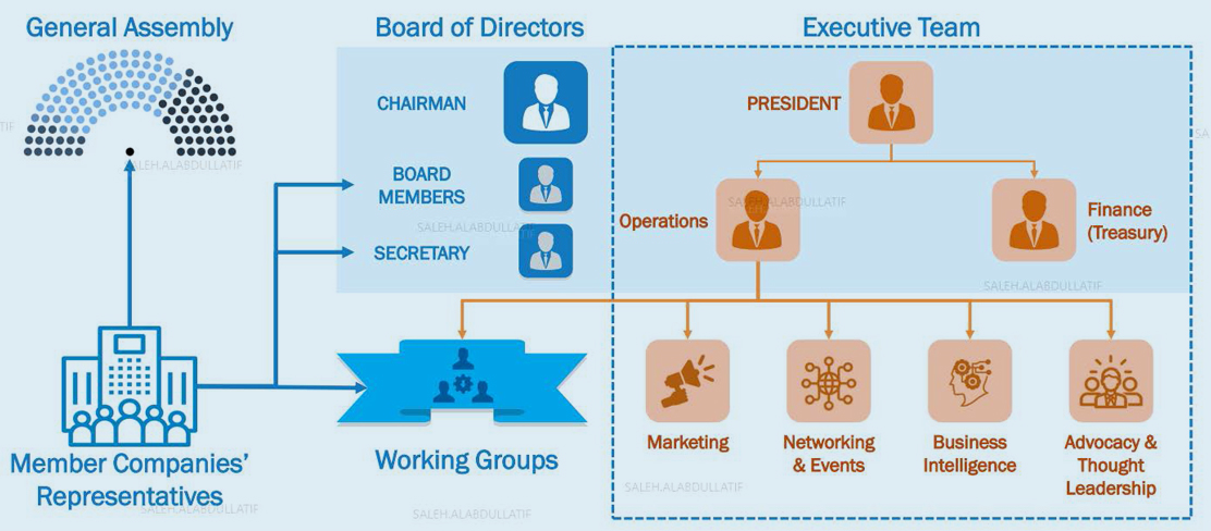 Structure & Operating Model